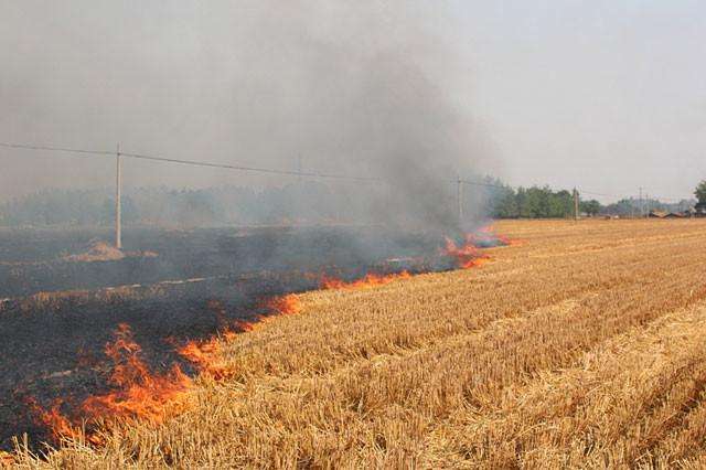 秸稈被當(dāng)做廢物焚燒 秸稈被當(dāng)做廢物焚燒