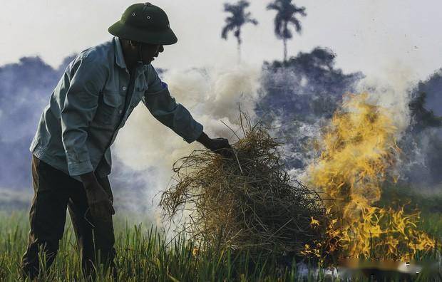 高溫天氣下農(nóng)民依然焚燒稻桿 高溫天氣下農(nóng)民依然焚燒稻桿